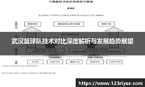 武汉篮球队技术对比深度解析与发展趋势展望
